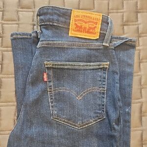Levi Strauss & Co. Blue Jeans